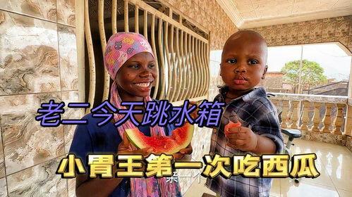 吃瓜王在线观看,揭秘娱乐圈幕后故事