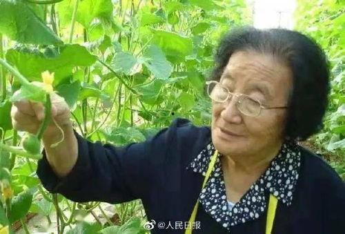 吃瓜在线观看,揭秘热门事件背后的真相