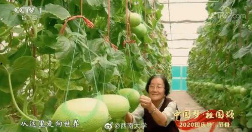 吃瓜91,揭秘娱乐圈那些不为人知的幕后故事