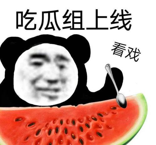 吃瓜爆料黑料,吃瓜爆料，黑料背后的真相
