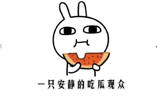 热门事件吃瓜网站,吃瓜群众视角下的热点追踪