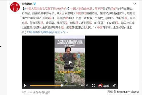 吃瓜91是谁的视频,热门视频背后的神秘人物